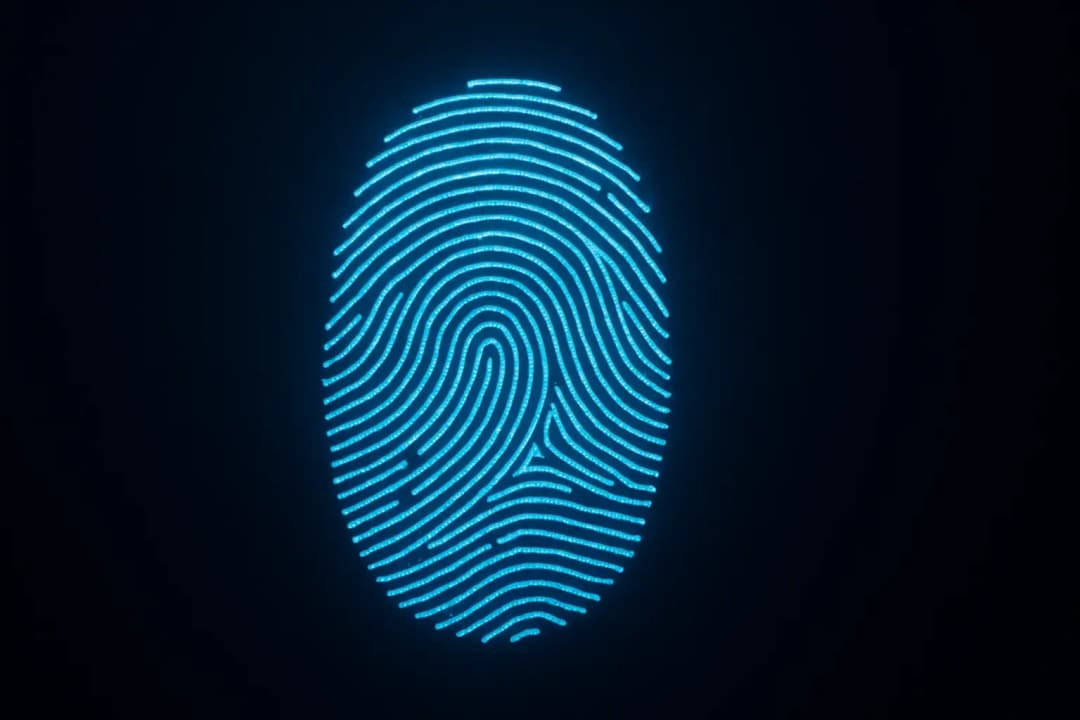 Digitalt fingeravtryck som lyser blått mot mörk bakgrund – symbol för datasäkerhet och integritet online.